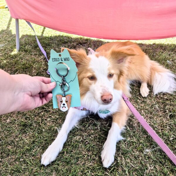 Border Collie Sunshine poses next to the Border Collie Keyring by Emily and Woo