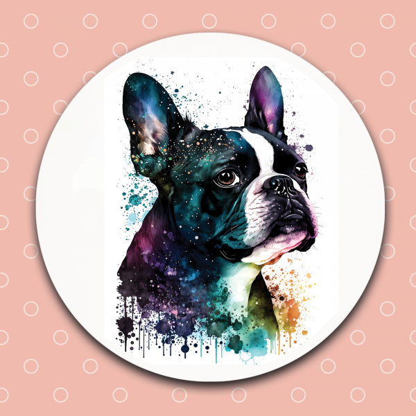 Boston Terrier
