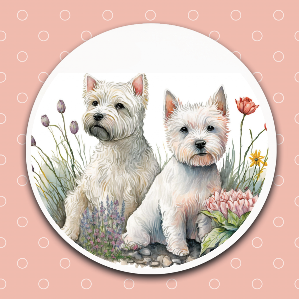 West Highland Terrier – Westie Emily and Woo