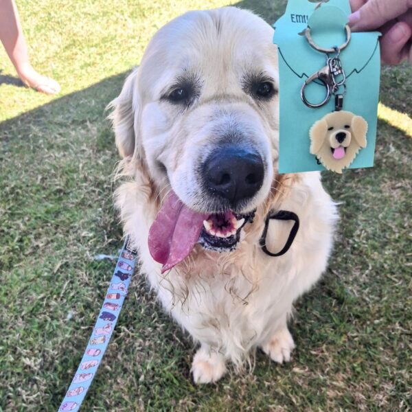 Golden Retriever Charlie poses next to the Golden Retriever Keyring